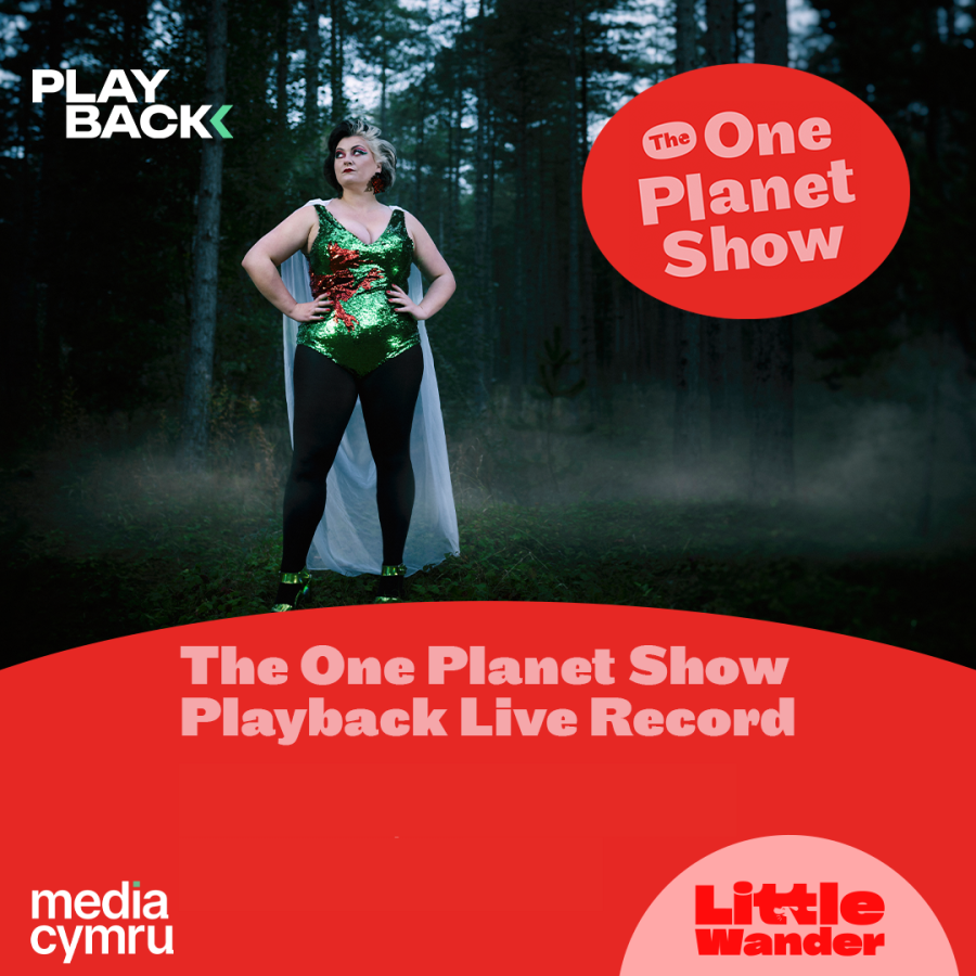 PLAYBACK